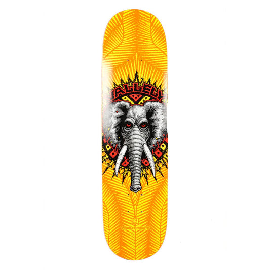 SHAPE IMPORTADO POWELL PERALTA